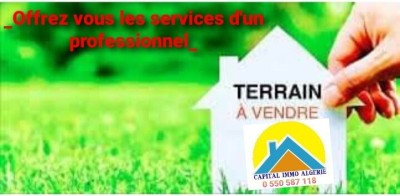 Vente Terrain Alger Sidi moussa