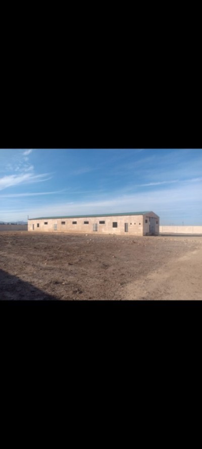 Sell Farmland Oran Oued tlelat