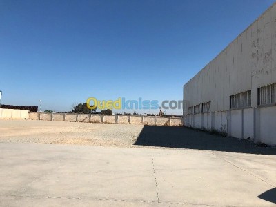 Location Terrain Oran Bethioua