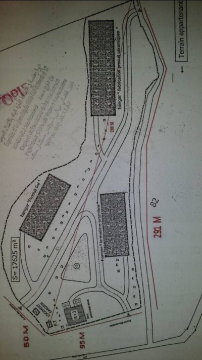 Sell Land Mascara Sig