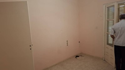 Location Appartement Mascara Sig