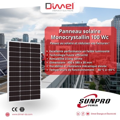 Panneau solaire SUNPRO 100 W