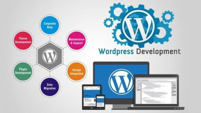 informatique-internet-wordpress-developer-algerie