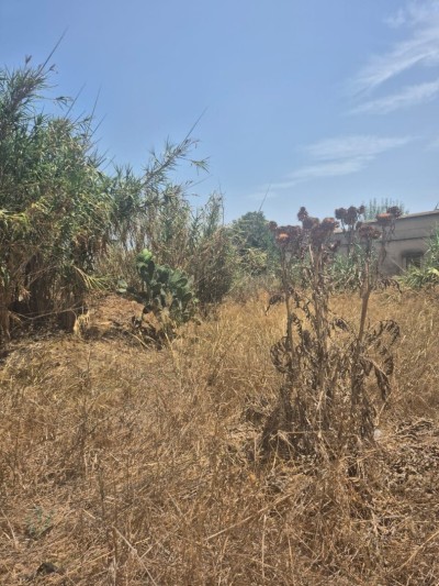 بيع أرض الجزائر زرالدة