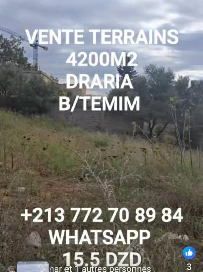 بيع أرض الجزائر درارية