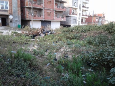 Vente Terrain Skikda Skikda