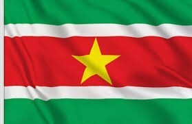 visa électronique SURINAME 