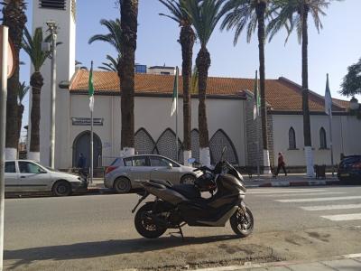 achat-logistique-livraison-zeralda-alger-algerie