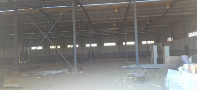 Rent Hangar Alger Baraki