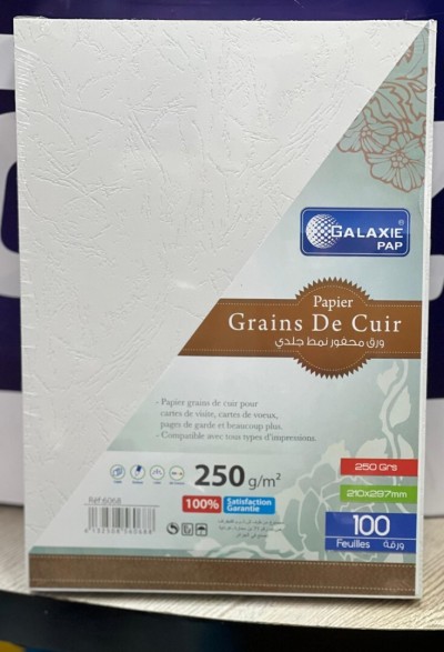 RAME PAPIER GRAINS DE CUIR A4 BLANC  250G/100F 