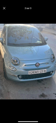 automobiles-fiat-500-2023-chlef-algerie