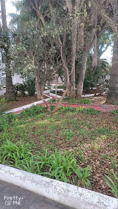 Sell Land Alger Hammamet