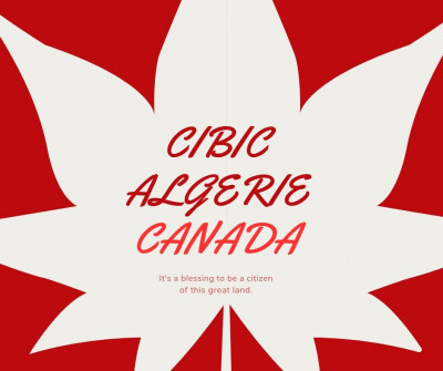 services-a-letranger-immigrer-au-canada-cest-facile-avec-cibic-cheraga-alger-algerie