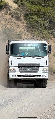 camion-hyundai-hd270-hd-270-2009-bouira-algerie