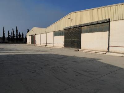 usine-vente-oran-sidi-maarouf-algerie