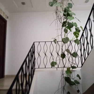 Rent Apartment F4 Alger Ouled fayet