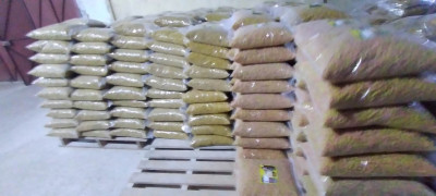 pates-alimentaire-pour-chiensعجائن-غذائية-للكلاب-seddouk-bejaia-algerie