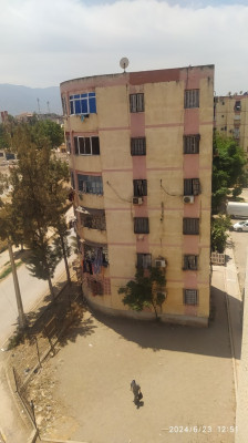 appartement-location-f1-blida-beni-mered-algerie