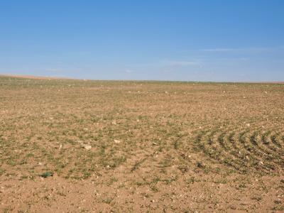 terrain-agricole-vente-djelfa-birine-algerie