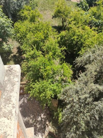 Sell Land Tizi Ouzou Azazga