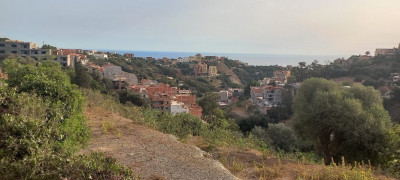 terrain-vente-alger-bouzareah-algerie