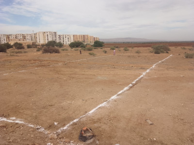 terrain-agricole-vente-relizane-yellel-algerie