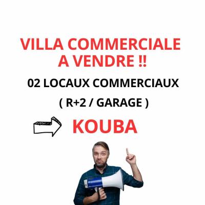 Vente Villa Alger Kouba