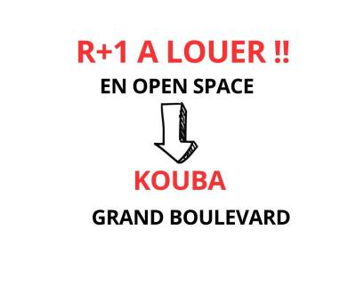 Location Villa Alger Kouba