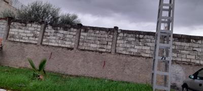 Vente Terrain Blida Blida