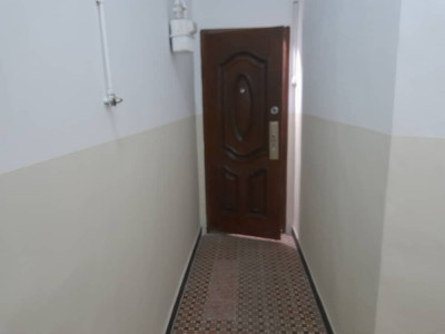 appartement-location-f2-alger-centre-algerie