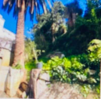 Vente Terrain Alger El biar