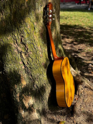 guitare-alhambra-3fg-birkhadem-alger-algerie