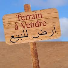 Sell Land Oran El Kerma