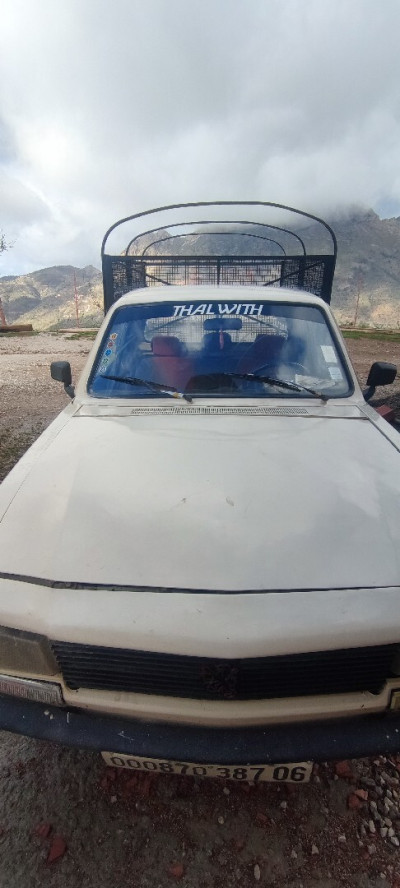 utilitaire-peugeot-504-1987-bache-ait-tizi-setif-algerie