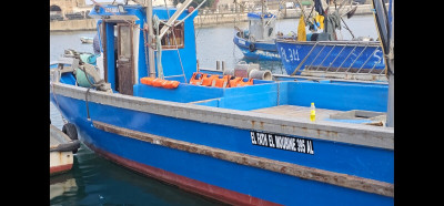 bateaux-rigide-sardine-alger-centre-algerie