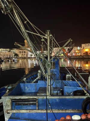 bateaux-rigide-sardini-alger-centre-algerie