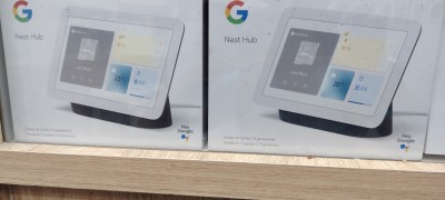 Google nesthub nest hub