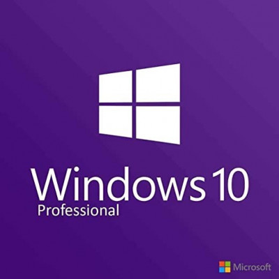 Windows 10 / 11 professional  