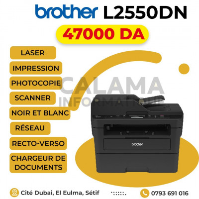 Brother DCP-L2550DN Laser, Multifonction, Recto-Verso, ADF