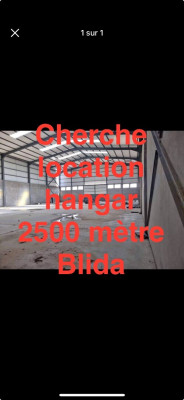 hangar-cherche-location-blida-algerie