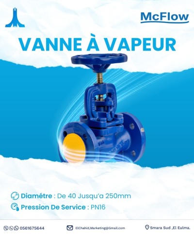 VANNE A VAPEUR -Gros et Détail-