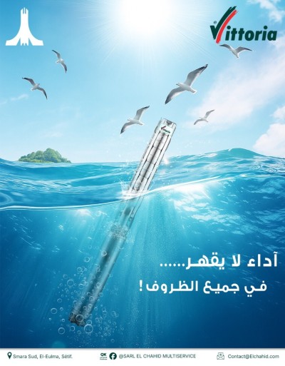 مضخات غاطسة VITTORIA -جملة و تجزئة-