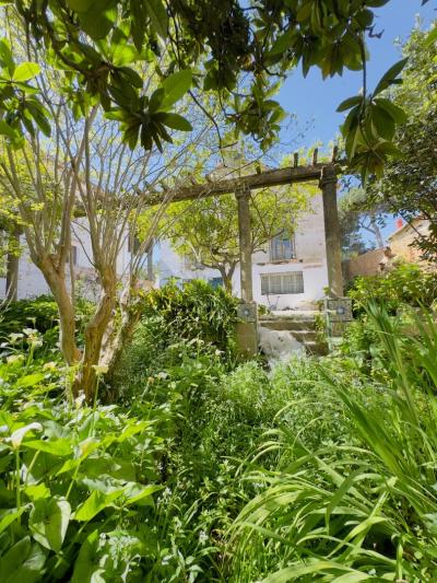 Vente Villa Alger El biar