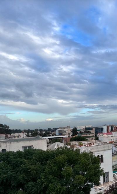 Vente Terrain Alger Hydra