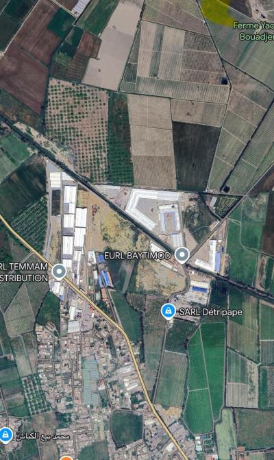 Vente Terrain Blida Boufarik