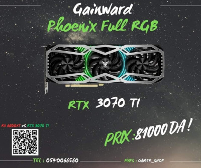 GAINWARD NVIDIA PHOENIX RTX 3070 TI 
