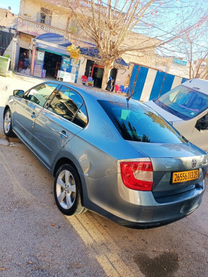 berline-skoda-rapid-2013-constantine-algerie