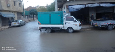 utilitaire-hyundai-h100-2010-khemis-miliana-ain-defla-algerie