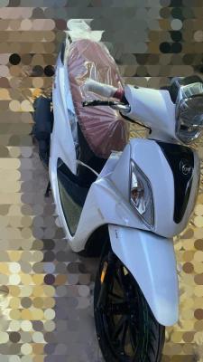 motos-scooters-sym-st-200-2024-oran-algerie