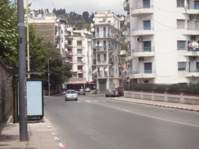 Rent Commercial Algiers Alger centre